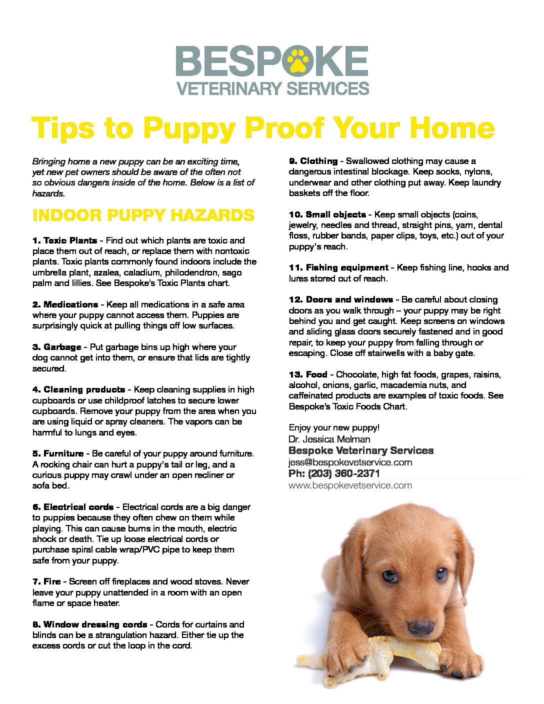 Tips to Puppy Proof Your Home