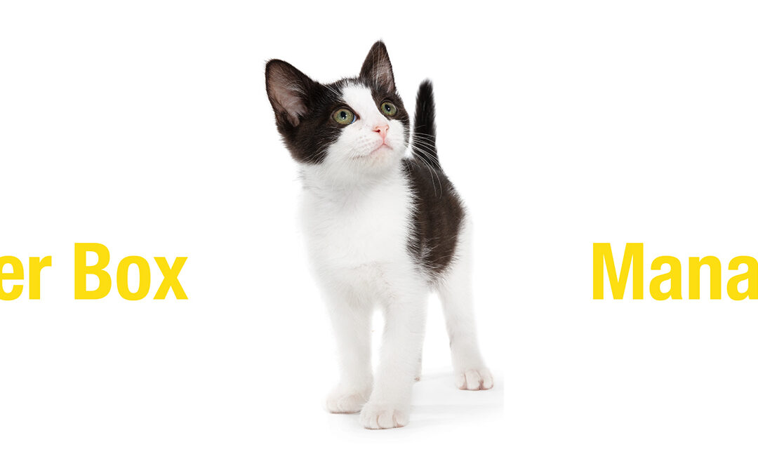 Cat Litterbox Managment Guide